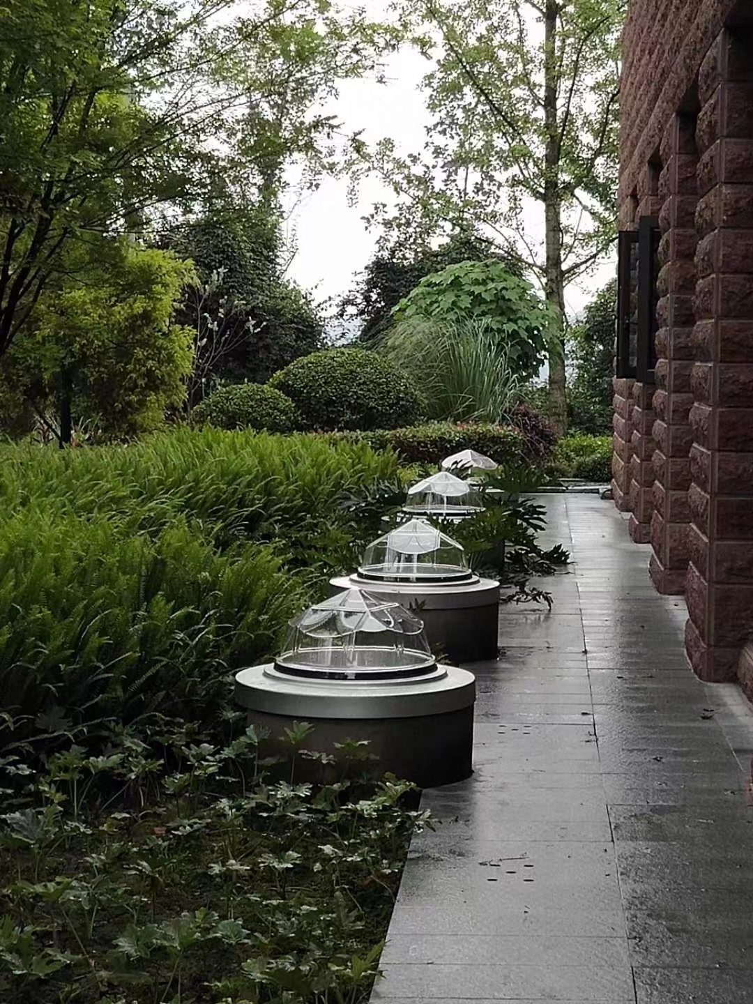 悦来会展中心办公大楼 (3).jpg