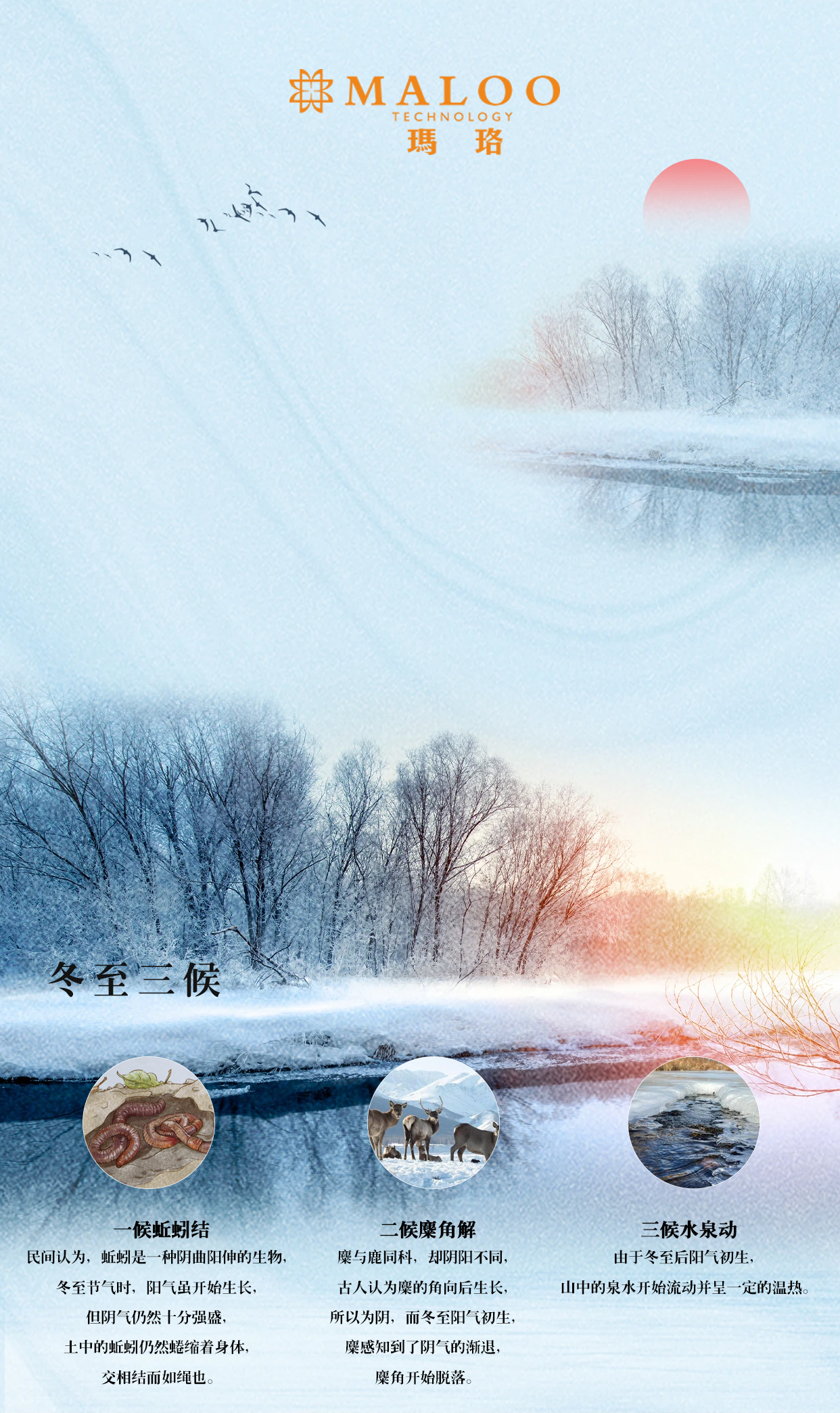 1734685694960393.jpg 11.jpg